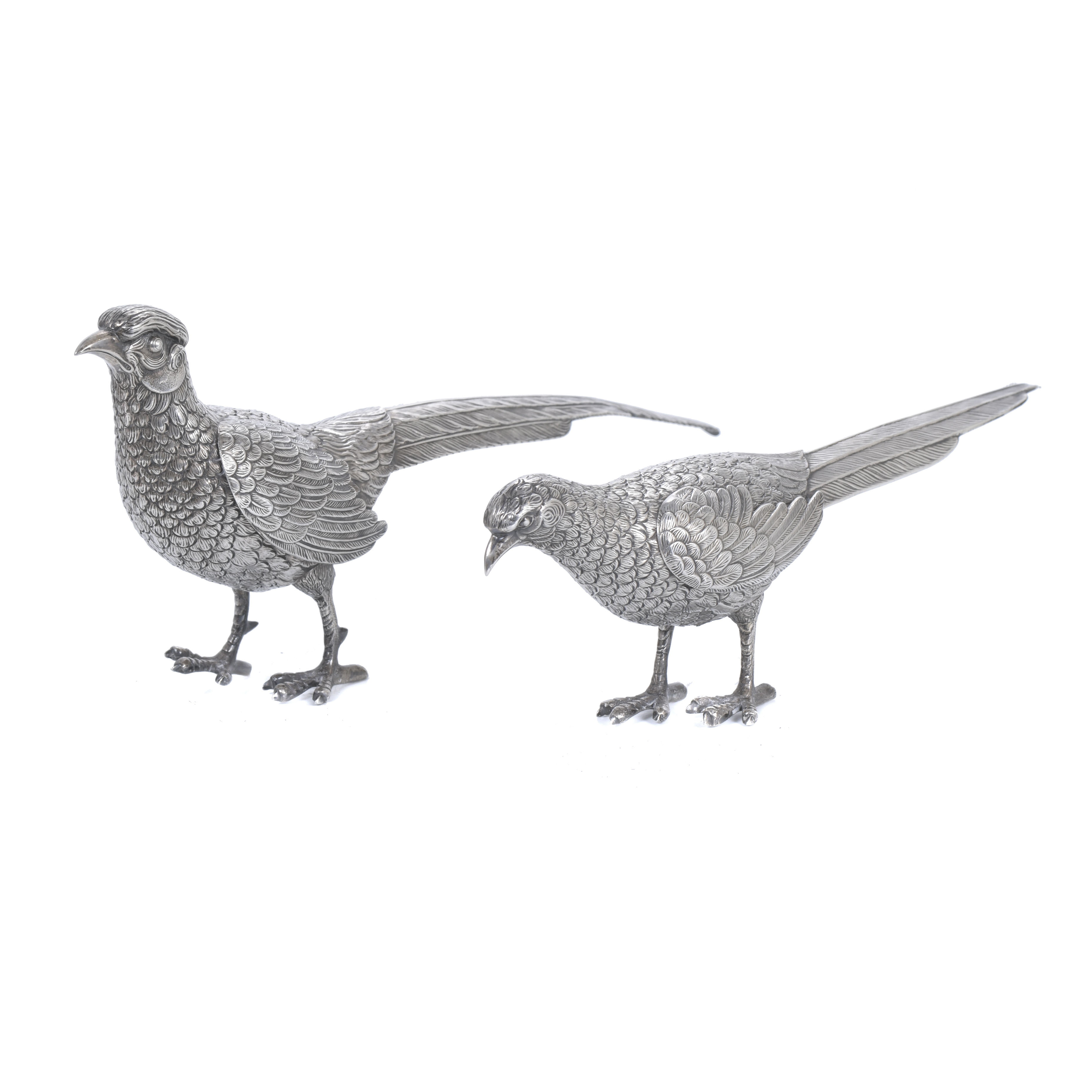 PAIR OF SILVER PHEASANTS, CIRCA 1950.