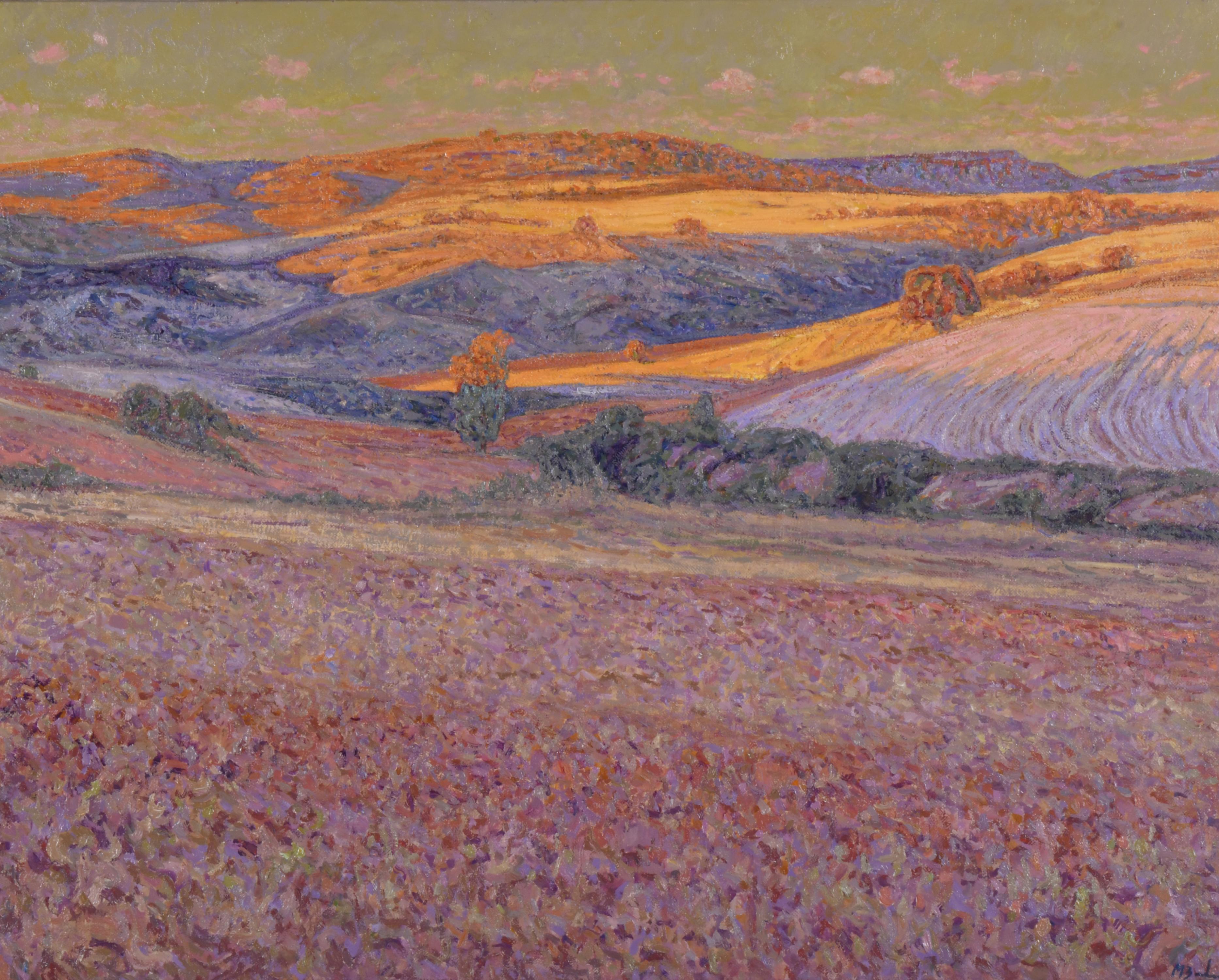 MIGUEL BARBERO (1953).  "Campos al caer la tarde. Palmaces,