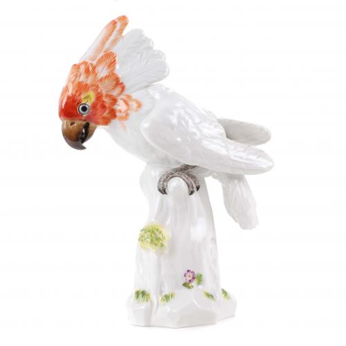 MEISSEN. "COCKATOO", MID C20th.