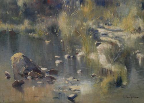 ELISEU MEIFRÉN ROIG (1859-1940). "THE SLEEPY POND".