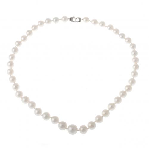 SOUTH SEA PEARLS NECKLACE.