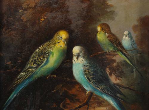 M. NAVARRO (20TH CENTURY). "PARAKEETS".