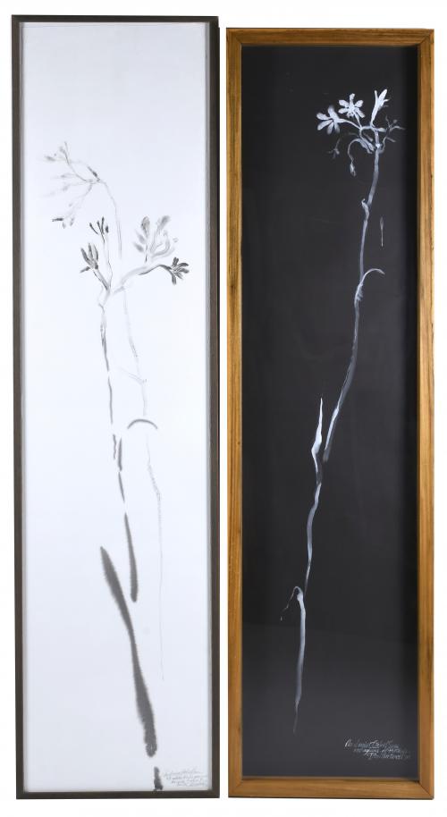 ANTONIO MARTORELL (1939). "FLOR BLANCA", 1997  Y "FLOR NEGRA", 1996.