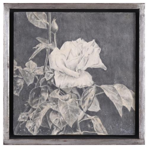 PEDRO MORENO MEYERHOF (1954). "WHITE ROSE", 1997.