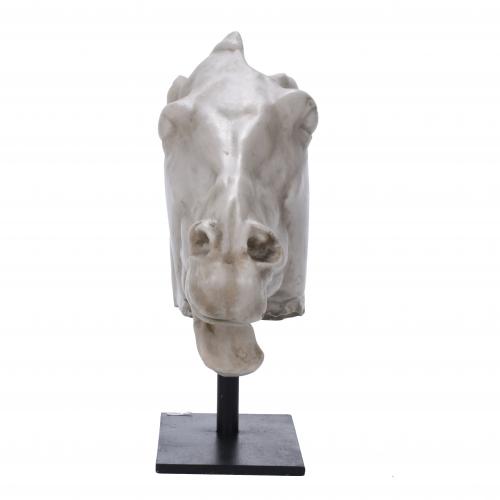 HORSE HEAD, 20TH CENTURY.