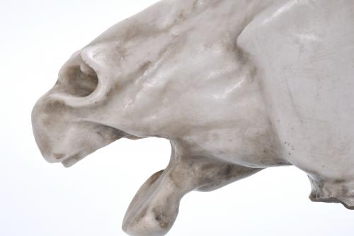 HORSE HEAD, 20TH CENTURY.