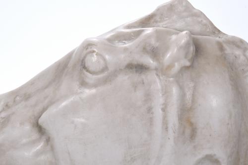 HORSE HEAD, 20TH CENTURY.