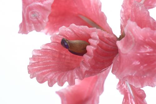 IDAR-OBERSTEIN SCHOOL, 20TH CENTURY.. RHODOCHROSITE ORCHID 