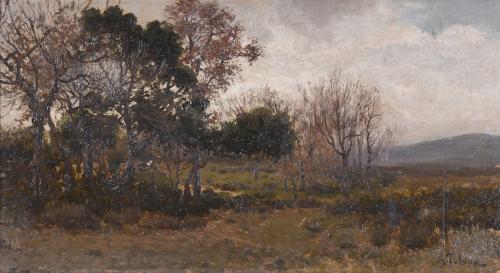 AURELI TOLOSA I ALSINA (1861-1938). "LANDSCAPE".