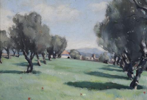 20TH CENTURY SPANISH SCHOOL. "OLIVE TREES".