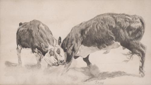 EARLY 20TH CENTURY SPANISH SCHOOL. "PAIR OF BULLS", 1906.