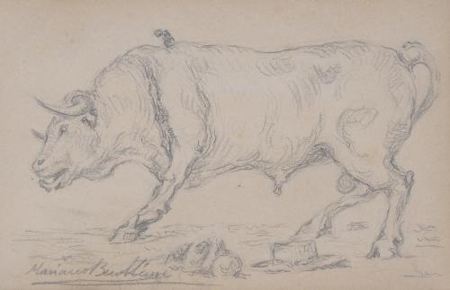 MARIANO BENILLURE Y GIL (1862-1947). "BULL".