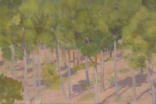 XAVIER NOGUÉS (1873-1940). "PAISAJE".